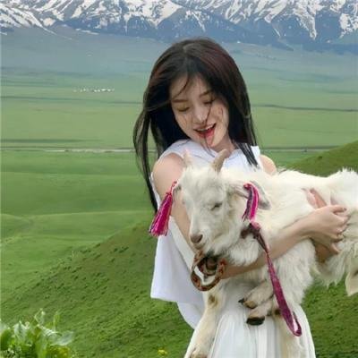 灵幻至尊